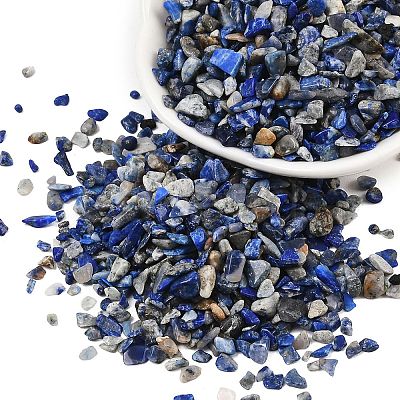 Natural Lapis Lazuli Chip Beads G-O103-21-1