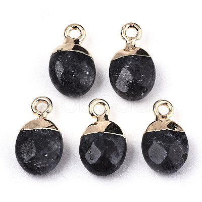 Natural Larvikite Charms X-G-N326-58A-1