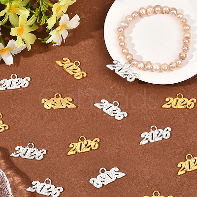 40Pcs 2 Colors Alloy Pendants FIND-SC0020-50-1