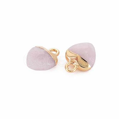Natural & Synthetic Mixed Stone Charms G-N326-121-M-1