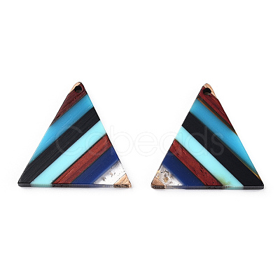 Resin & Walnut Wood Pendants RESI-N039-14-1