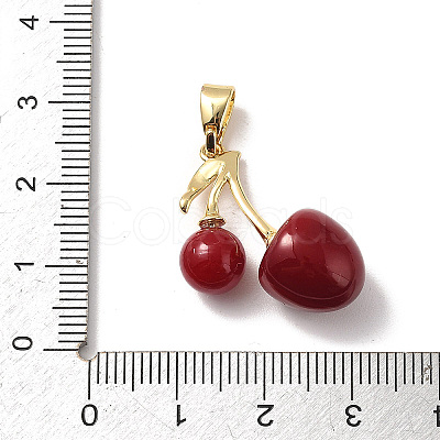 Brass Resin Pendants KK-D383-01G-03-1