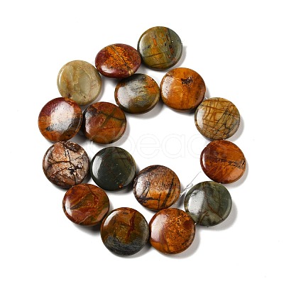 Natural Picasso Stone/Picasso Jasper Beads Strands G-B032-C01-1