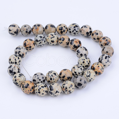 Natural Dalmatian Jasper Beads Strands X-G-Q462-6mm-30-1