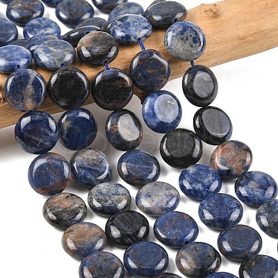 Natural Sodalite Beads Strands G-L648-B07-15mm-1