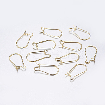304 Stainless Steel Hoop Earrings STAS-L198-15B-G-1