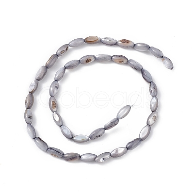 Natural Freshwater Shell Dyed Beads Strands X-SHEL-M018-13-04-1