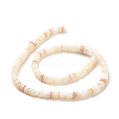 Shell Beads Strands SSHEL-E571-49I-1