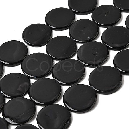 Natural Freshwater Shell Beads Strands SHEL-A006-01B-1