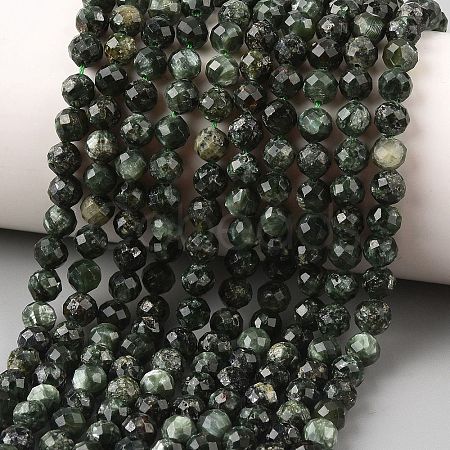 Natural Seraphinite Beads Strands G-K376-A02-5mm-1