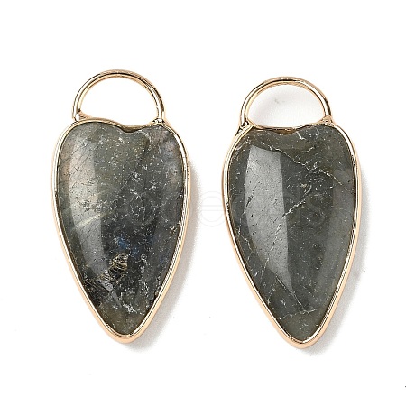Natural Labradorite Pendants G-I393-01G-08-1