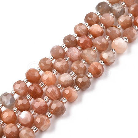 Natural Sunstone Beads Strands G-N327-08L-1