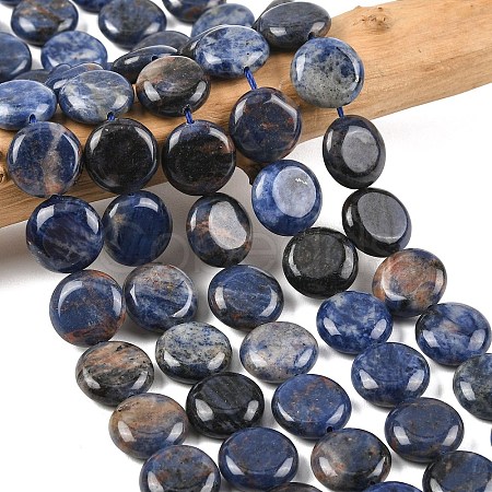 Natural Sodalite Beads Strands G-L648-B07-15mm-1