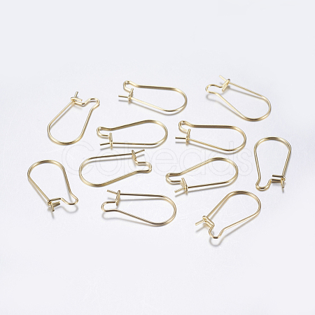 304 Stainless Steel Hoop Earrings STAS-L198-15B-G-1