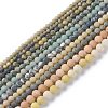 Natural Mixed Gemstone Beads Strands G-H245-05-3