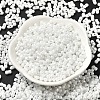 Opaque Colours Luster Glass Seed Beads SEED-B001-01A-12-2