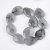 Natural Labradorite Beads Strands X-G-S354-07-2