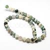 Natural Tree Agate Frosted Agate Round Gemstone Beads Strands G-O151-01-10mm-2