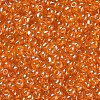 8/0 Glass Seed Beads SEED-A006-3mm-109-2