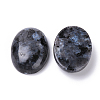 Natural Labradorite Cabochons X-G-T062-19-2
