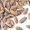 50Pcs Natural Spiral Shell Pendants SSHEL-CW0001-01-2