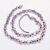 Natural Ametrine Beads Strands G-K202-25-2