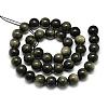 Natural Golden Sheen Obsidian Beads Strands G-S150-20-8mm-2