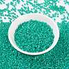 MIYUKI Round Rocailles Beads X-SEED-G008-RR0572-3
