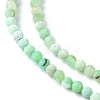 Natural Chrysoprase Beads Strands G-F748-X01-03B-4