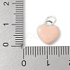 S925 Sterling Silver Pendant LS-STER-H115-05E-S01-3