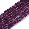 Natural Ruby Beads Strands G-N328-034-1