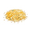 Plastic Sequins Beads PVC-R024-06A-2