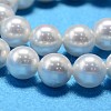 AB Color Plated Shell Pearl Round Bead Strands BSHE-L011-14mm-C001-4