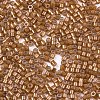 FGB 11/0 Grade A Baking Paint Glass Seed Beads X-SEED-S030-1146-2