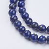 Natural Lapis Lazuli(Filled Color Glue) Beads Strands X-G-K269-02-8mm-3