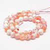 Faceted Natural Fire Crackle Agate Beads Strands G-F447-8mm-B03-2