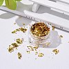 Foil Flakes DIY-E032-02C-5