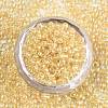 8/0 Glass Seed Beads SEED-A016-3mm-202-3