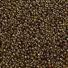 MIYUKI Round Rocailles Beads X-SEED-G009-RR0311-2