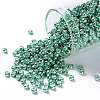 TOHO Round Seed Beads X-SEED-TR08-0561-1