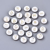 Natural Freshwater Shell Beads SHEL-S266-12-2