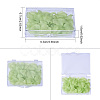 Transparent Plastic Bead Containers CON-BC0004-56-4