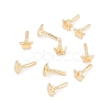 Star Brass Head Pins KK-U051-02G-02-2