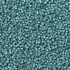 MIYUKI Delica Beads X-SEED-J020-DB1183-3
