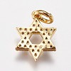 Brass Micro Pave Cubic Zirconia Charms ZIRC-E145-56G-2