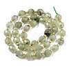 Natural Prehnite Beads Strands G-T131-78A-2