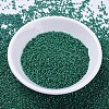 MIYUKI Delica Beads SEED-MY11-DB0656-2