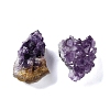 Natural Amethyst Geode Cornucopia Mineral Specimen DJEW-M014-02F-2