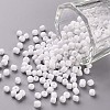 8/0 Glass Seed Beads SEED-US0003-3mm-41-1