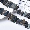 Natural Kyanite/Cyanite/Disthene Quartz Beads Strands G-R432-09-4